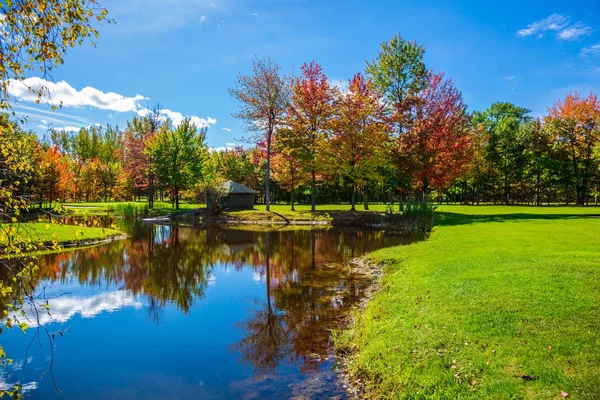  Kırmızı, turuncu ve yeşil sonbahar yaprakları