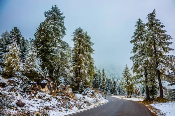 Islak yol için geçiş Giau. — Stok fotoğraf