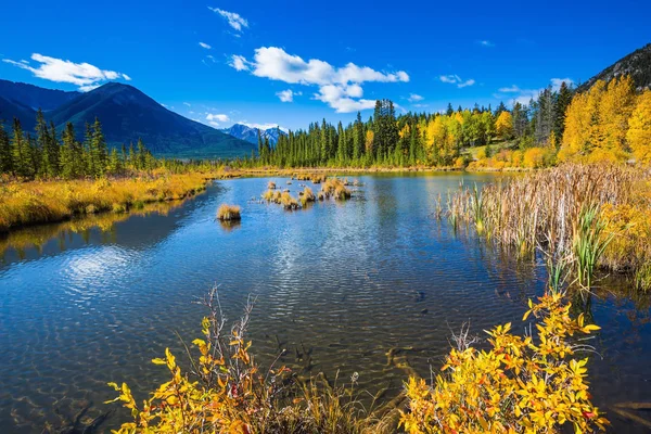 Slunečný podzimní den v kanadských Skalistých horách — Stock fotografie