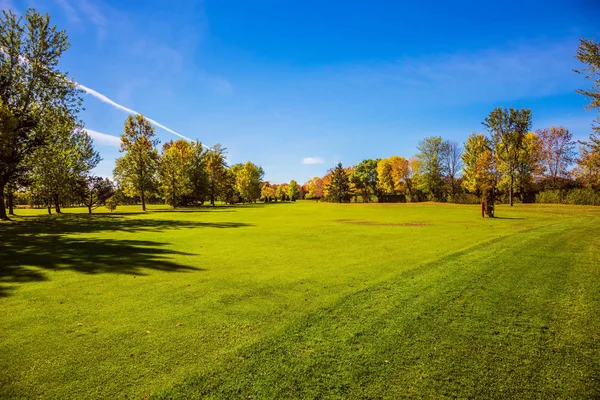 Yeşil çim golf sahası