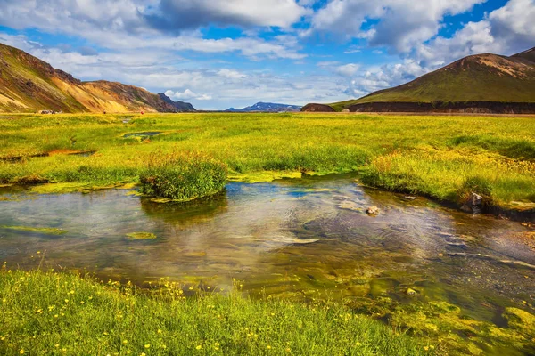 Zelená tráva mezi horké prameny — Stock fotografie