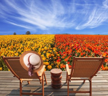 Zarif bayanlar hasır şapka