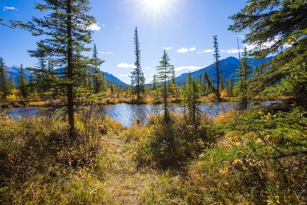 A Sziklás-hegység, Kanada. — Stock Fotó