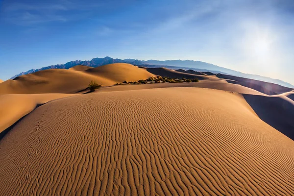 Bizarre twists of  sand dunes — Stock Photo, Image