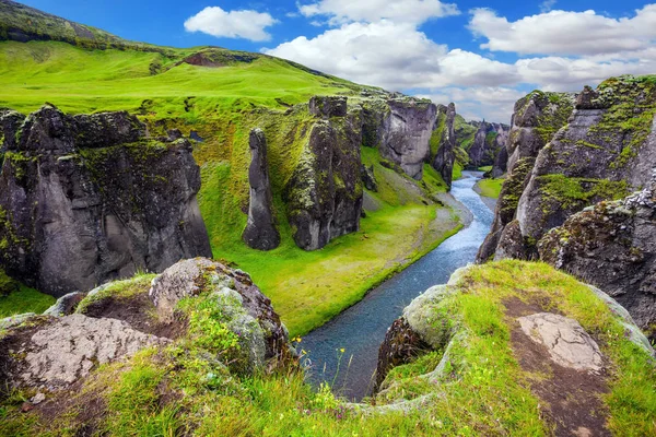 Yaz aylarında yeşil Tundra