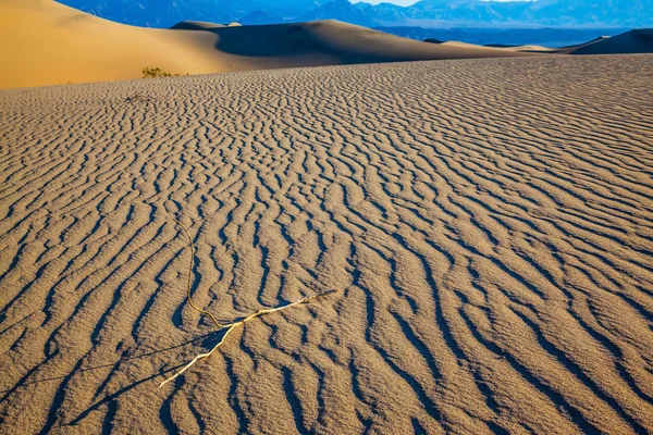 Mattina di dunessunny di sabbia — Foto Stock