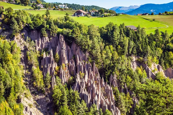 Renons dünya sütunlar