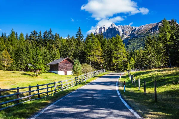 Alpine meadows asfalt yol