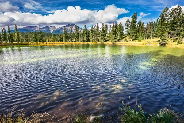 Evergreen firs tarafından çevrili Gölü — Stok fotoğraf