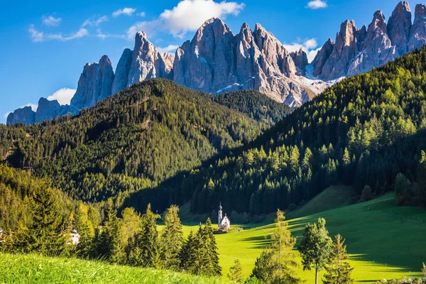 Güneşli bir gün inalpine çayırlar