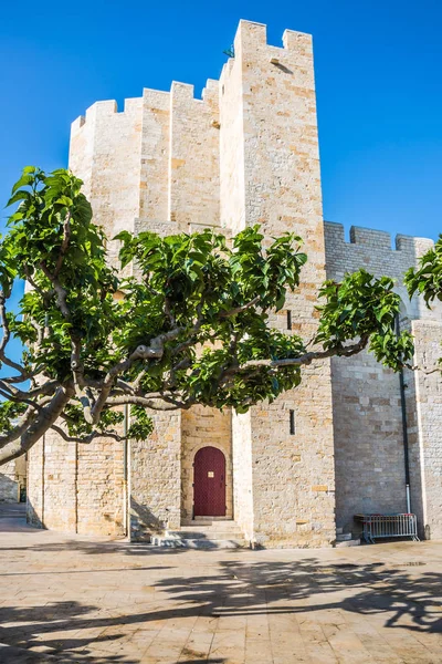 Cattedrale nella piazza della città — Foto Stock