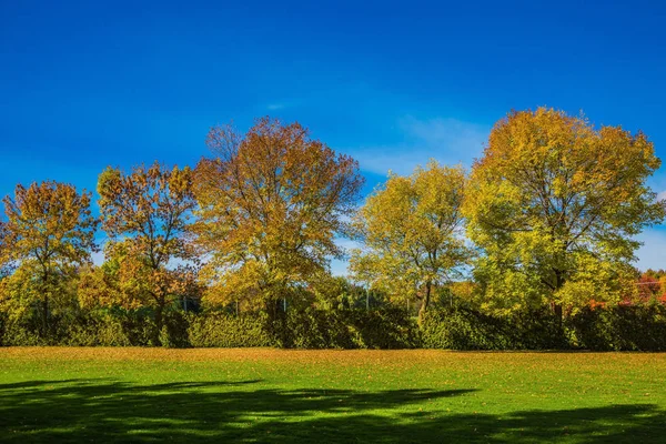 Cálido día soleado — Foto de Stock