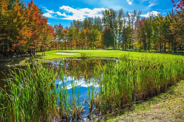 Charming pond in park — Stock Photo, Image