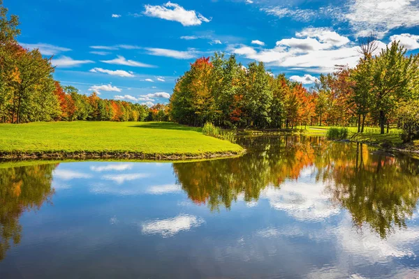 sonbahar güneşli bir gün