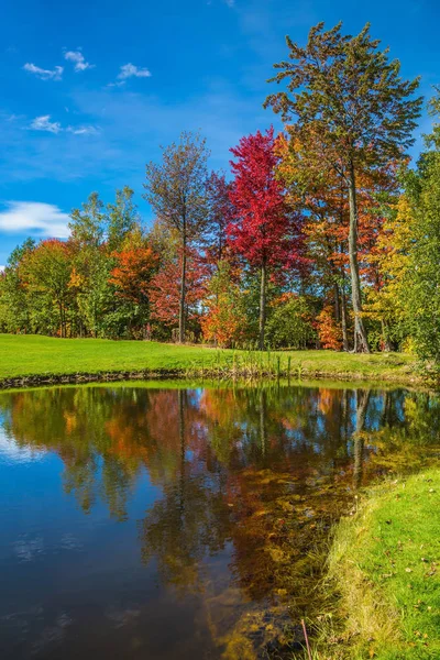 사랑 스러운 순수 연못 공원 — 스톡 사진