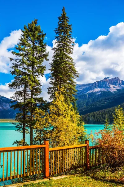 Wooden fence on lake promenade — Stock Photo, Image