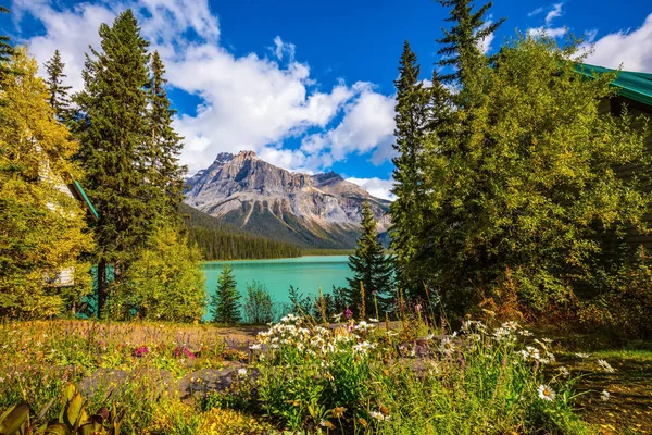 Rocky Dağları sabah — Stok fotoğraf