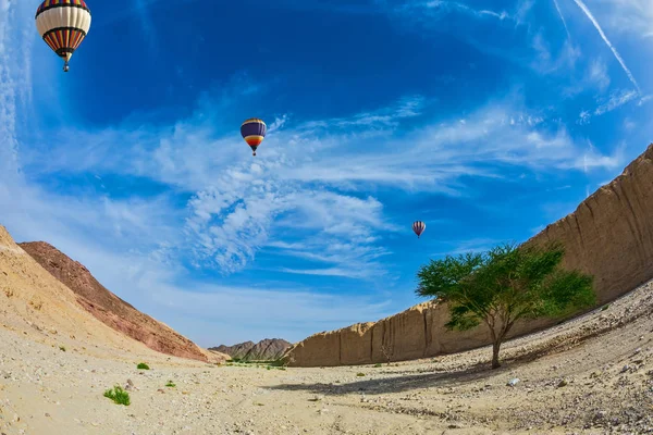 Ballonnen over hete woestijn — Stockfoto