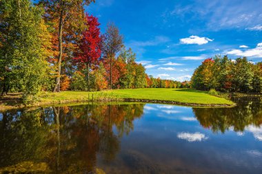 Kırmızı, turuncu ve yeşil yaprakları ile park
