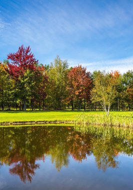 sonbahar yaprakları açık suya yansıyan