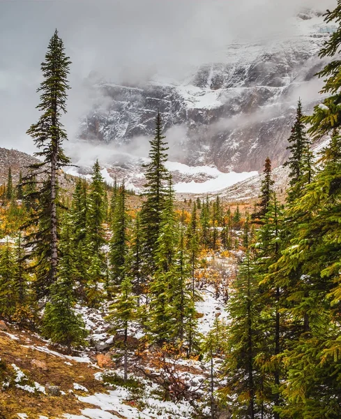 Otoño en el Parque Nacional Jasper —  Fotos de Stock