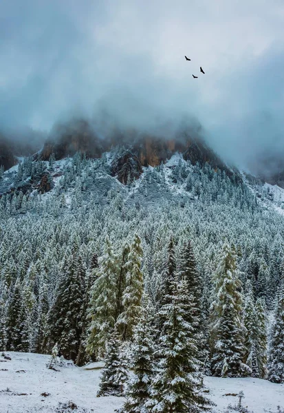 Alpine passera Giau snön föll — Stockfoto