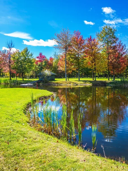 Red, orange and green  foliage — Stock Photo, Image