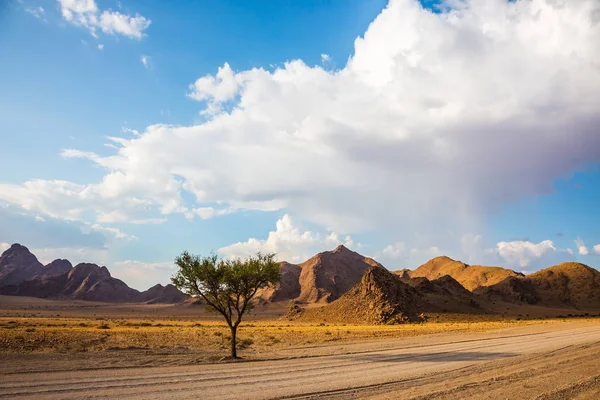Parque nacional Namib-Naukluft — Foto de Stock