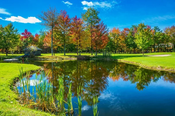 Feuillage d'automne rouge — Photo