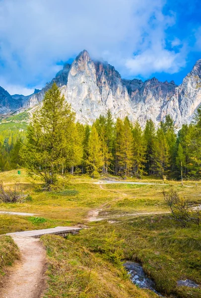 Rocce taglienti e foresta — Foto Stock