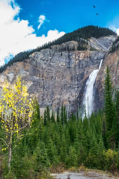 Falls Takakkaw of glacier Daly — Stock Photo, Image