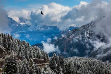 Herdem yeşil orman Vadisi 