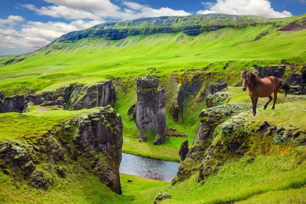 Feltűnő canyon Izlandon — Stock Fotó