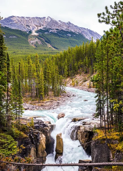 Parc national Jasper — Photo