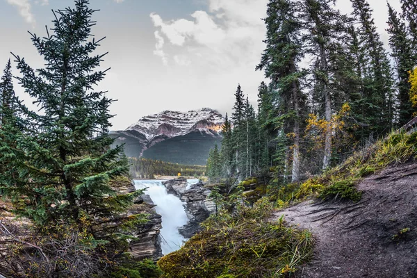 Athabasca vattenfall bland skog — Stockfoto