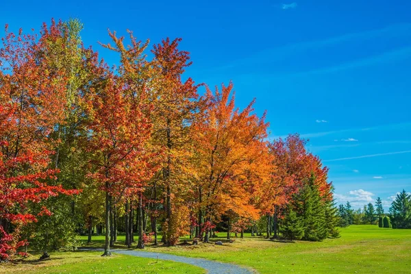 Concept of Golf tourism — Stock Photo, Image