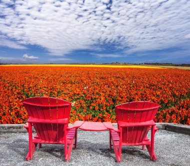 İki Bahçe düğünçiçekleri alanları yanında kırmızı plastik sandalyeler katıldı. Rekreasyon ve eko-bilgisiyle kavramı