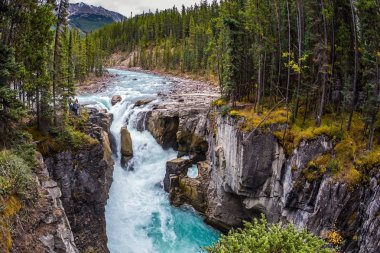  Autumn trip to Canada, Jasper National Park. The picturesque waterfall Sanvapta Falls. The concept of extreme and ecological tourism clipart
