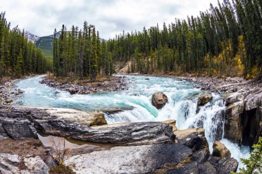  Jasper National Park, Amerika Birleşik Devletleri. Nehrin ortasında küçük bir ada. Aşırı ve ekolojik turizm kavramı. Kayalık kıyılarına şelale acele