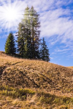 Soluk sonbahar güneş tepelerin aydınlatır. Ünlü kış Kayak Merkezi. Alpler di Siusi manzara. Kavramı bir aktif ve eko-turizm