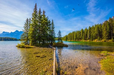 Göl iki Rocky Dağları Jack. Kanada altın sonbaharda. Sıcak sabah güneşi pitoresk göl ve küçük bir ada ısıtıyor. Ekolojik ve aktif bilgisiyle kavramı