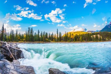 Travel to Jasper Park, Canada. The full-water bubbling waterfall of Athabasca. Clear autumn evening at sunset. The concept of extreme and ecological tourism clipart