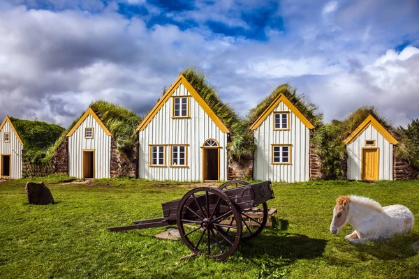 Venkovské Pastorační Trakař Elegantní Islandské Koně Trávníku Národopisné Muzeum Realitní — Stock fotografie