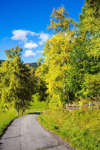 Jesień Dolomitach Pojęcie Turystyki Ekologicznej Droga Opada Zielone Łąki Alpejskie — Zdjęcie stockowe