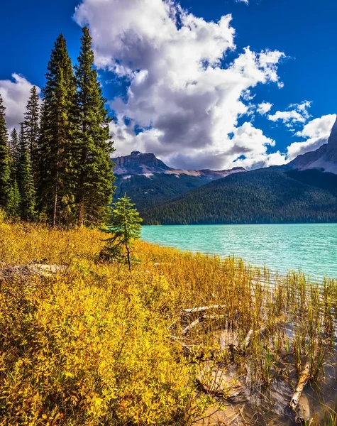 Lago Nas Montanhas Rochosas Água Suave Entre Floresta Outono Amarelada — Fotografia de Stock