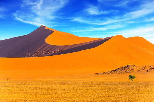 Orange Violet Yellow Dunes Namib Desert Small Lonely Tree Huge — Stock Photo, Image