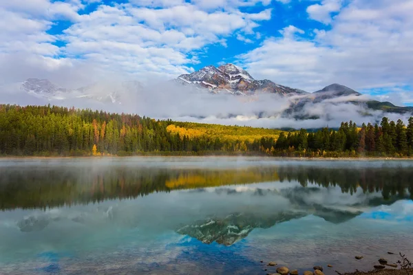 Lago Patricia Entre Abetos Pinheiros Água Reflete Pico Nevado Montanha — Fotografia de Stock