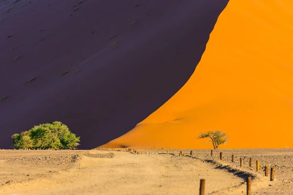 Namib Naukluft Atardecer Borde Agudo Luz Sombra Sobre Cresta Duna — Foto de Stock