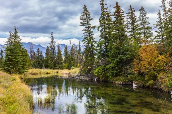 カナダのロッキー山脈の壮大な旅は ポカホンタス道路に沿って谷 アクティブおよび生態学的な観光事業のコンセプトです 浅い水の湖 もみと山 — ストック写真