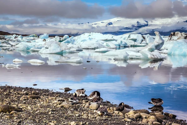 Wschód Słońca Oświetla Lodowiec Vatnajokull Wody Lodowej Laguny Jokulsarlon Islandzki — Zdjęcie stockowe